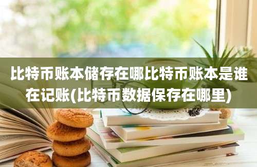 比特币账本储存在哪比特币账本是谁在记账(比特币数据保存在哪里)