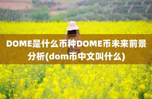 DOME是什么币种DOME币未来前景分析(dom币中文叫什么)