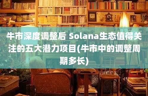 牛市深度调整后 Solana生态值得关注的五大潜力项目(牛市中的调整周期多长)