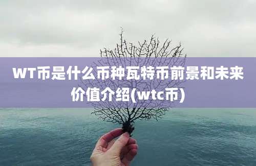 WT币是什么币种瓦特币前景和未来价值介绍(wtc币)