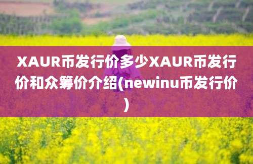 XAUR币发行价多少XAUR币发行价和众筹价介绍(newinu币发行价)