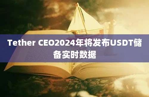 Tether CEO2024年将发布USDT储备实时数据