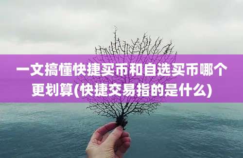 一文搞懂快捷买币和自选买币哪个更划算(快捷交易指的是什么)