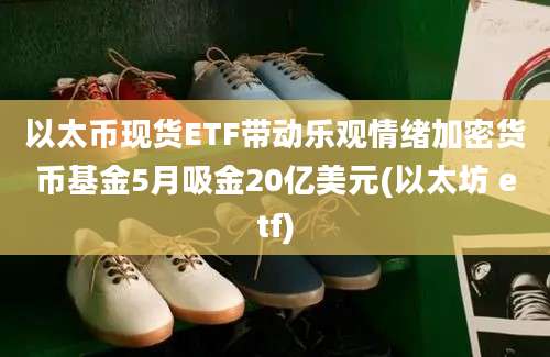 以太币现货ETF带动乐观情绪加密货币基金5月吸金20亿美元(以太坊 etf)