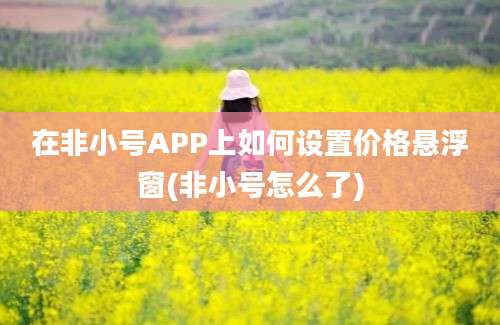 在非小号APP上如何设置价格悬浮窗(非小号怎么了)