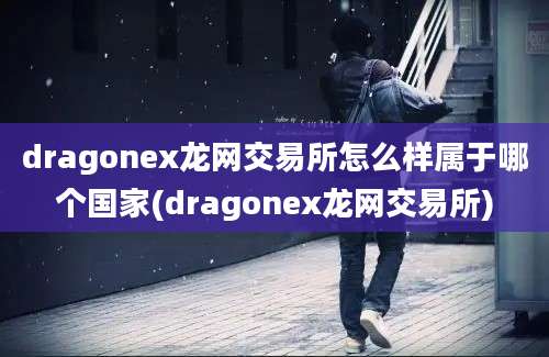 dragonex龙网交易所怎么样属于哪个国家(dragonex龙网交易所)