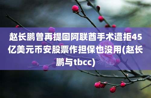 赵长鹏曾再提回阿联酋手术遭拒45亿美元币安股票作担保也没用(赵长鹏与tbcc)