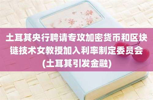 土耳其央行聘请专攻加密货币和区块链技术女教授加入利率制定委员会(土耳其引发金融)