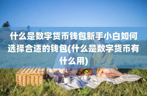 什么是数字货币钱包新手小白如何选择合适的钱包(什么是数字货币有什么用)