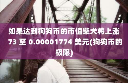 如果达到狗狗币的市值柴犬将上涨 73 至 0.00001774 美元(狗狗币的极限)