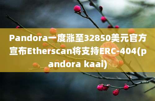 Pandora一度涨至32850美元官方宣布Etherscan将支持ERC-404(pandora kaai)