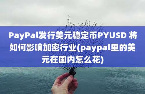 PayPal发行美元稳定币PYUSD 将如何影响加密行业(paypal里的美元在国内怎么花)