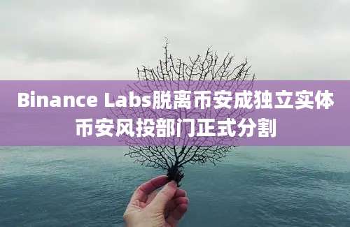 Binance Labs脱离币安成独立实体币安风投部门正式分割