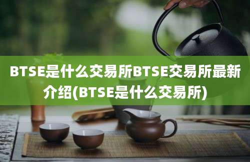 BTSE是什么交易所BTSE交易所最新介绍(BTSE是什么交易所)