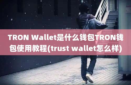 TRON Wallet是什么钱包TRON钱包使用教程(trust wallet怎么样)