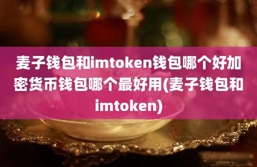 麦子钱包和imtoken钱包哪个好加密货币钱包哪个最好用(麦子钱包和imtoken)