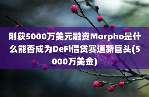 刚获5000万美元融资Morpho是什么能否成为DeFi借贷赛道新巨头(5000万美金)