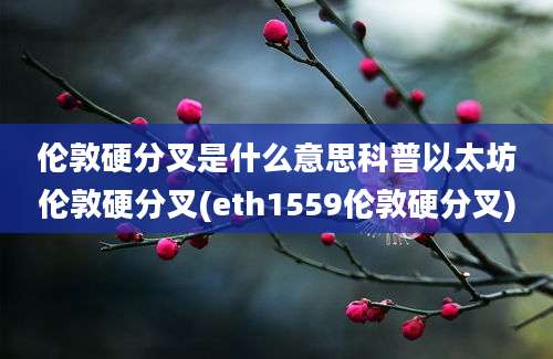 伦敦硬分叉是什么意思科普以太坊伦敦硬分叉(eth1559伦敦硬分叉)