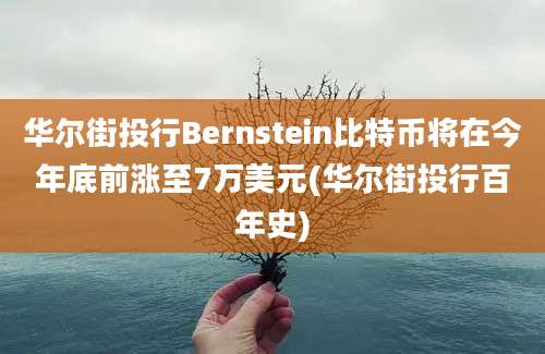 华尔街投行Bernstein比特币将在今年底前涨至7万美元(华尔街投行百年史)