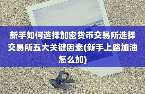 新手如何选择加密货币交易所选择交易所五大关键因素(新手上路加油怎么加)