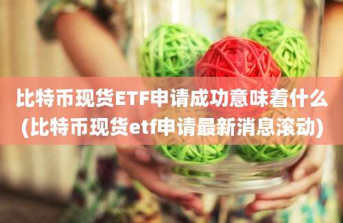 比特币现货ETF申请成功意味着什么(比特币现货etf申请最新消息滚动)