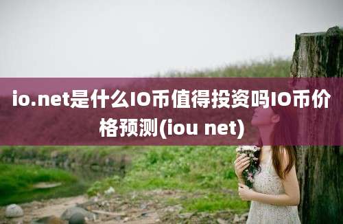 io.net是什么IO币值得投资吗IO币价格预测(iou net)