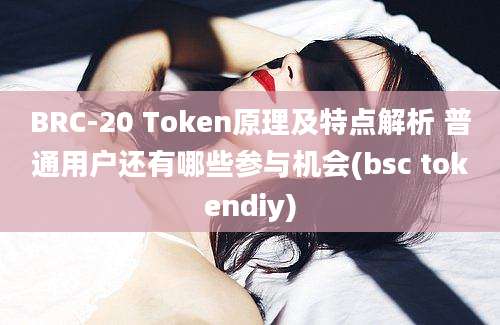 BRC-20 Token原理及特点解析 普通用户还有哪些参与机会(bsc tokendiy)