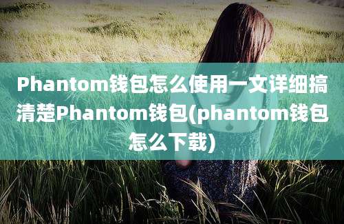 Phantom钱包怎么使用一文详细搞清楚Phantom钱包(phantom钱包怎么下载)