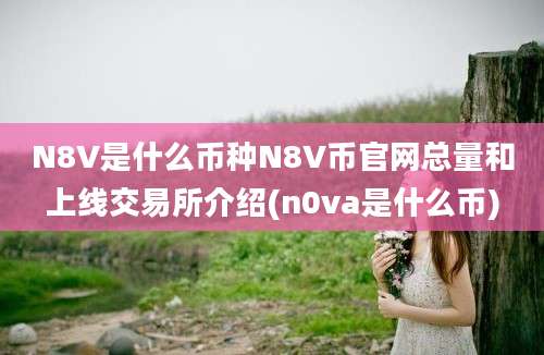 N8V是什么币种N8V币官网总量和上线交易所介绍(n0va是什么币)