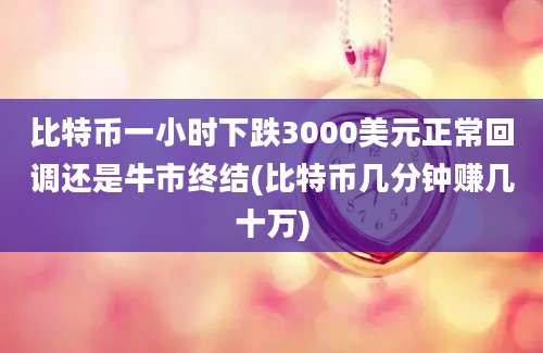 比特币一小时下跌3000美元正常回调还是牛市终结(比特币几分钟赚几十万)