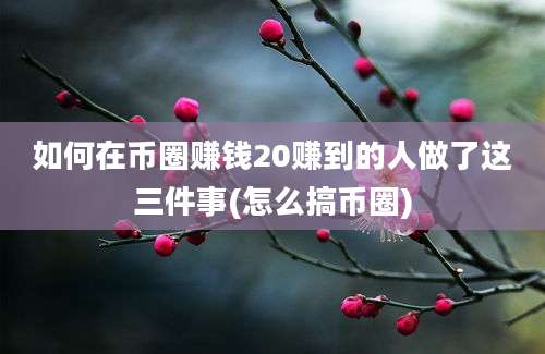 如何在币圈赚钱20赚到的人做了这三件事(怎么搞币圈)