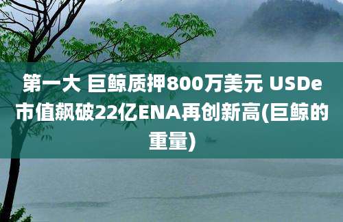 第一大 巨鲸质押800万美元 USDe市值飙破22亿ENA再创新高(巨鲸的重量)