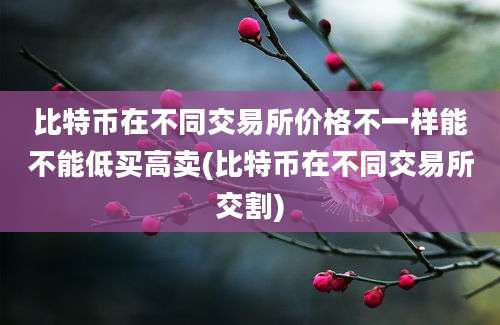 比特币在不同交易所价格不一样能不能低买高卖(比特币在不同交易所交割)