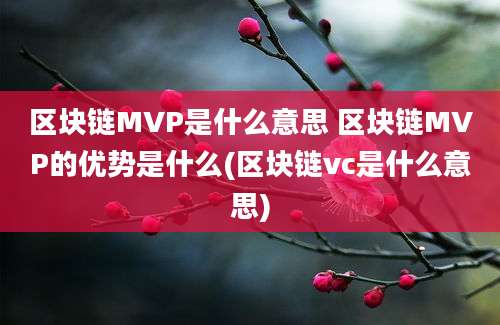 区块链MVP是什么意思 区块链MVP的优势是什么(区块链vc是什么意思)