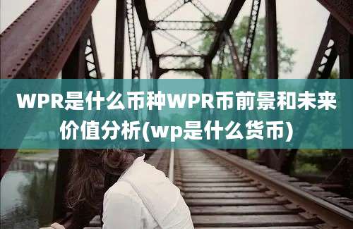 WPR是什么币种WPR币前景和未来价值分析(wp是什么货币)