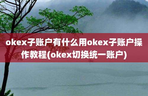 okex子账户有什么用okex子账户操作教程(okex切换统一账户)