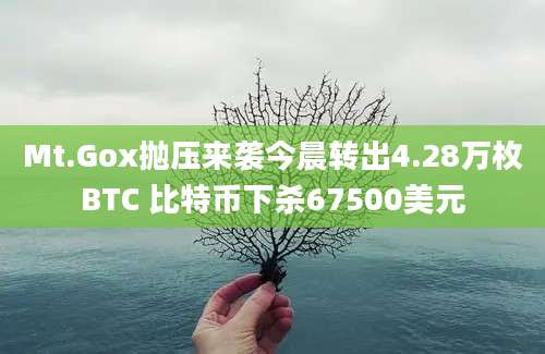 Mt.Gox抛压来袭今晨转出4.28万枚BTC 比特币下杀67500美元