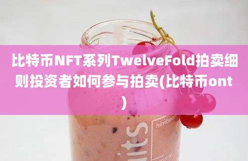 比特币NFT系列TwelveFold拍卖细则投资者如何参与拍卖(比特币ont)