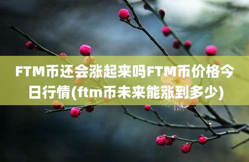 FTM币还会涨起来吗FTM币价格今日行情(ftm币未来能涨到多少)