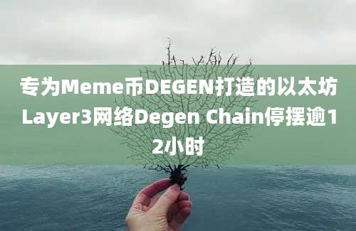 专为Meme币DEGEN打造的以太坊Layer3网络Degen Chain停摆逾12小时