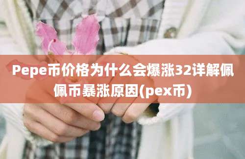 Pepe币价格为什么会爆涨32详解佩佩币暴涨原因(pex币)