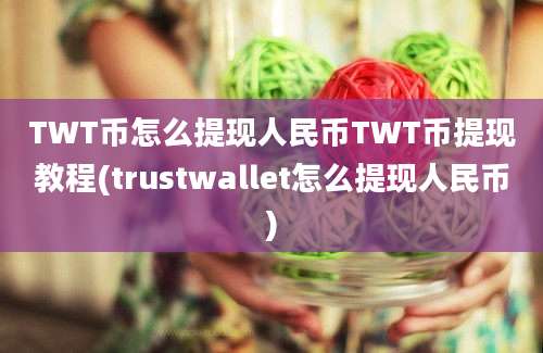 TWT币怎么提现人民币TWT币提现教程(trustwallet怎么提现人民币)