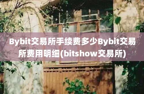 Bybit交易所手续费多少Bybit交易所费用明细(bitshow交易所)