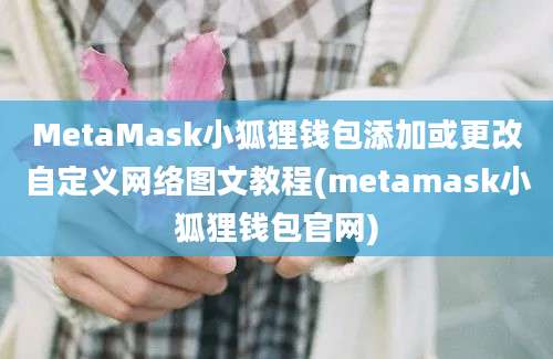 MetaMask小狐狸钱包添加或更改自定义网络图文教程(metamask小狐狸钱包官网)