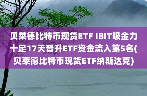 贝莱德比特币现货ETF IBIT吸金力十足17天晋升ETF资金流入第5名(贝莱德比特币现货ETF纳斯达克)