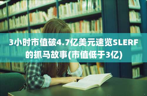 3小时市值破4.7亿美元速览SLERF的抓马故事(市值低于3亿)