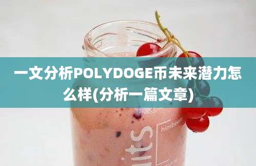 一文分析POLYDOGE币未来潜力怎么样(分析一篇文章)