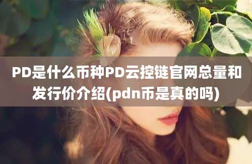 PD是什么币种PD云控链官网总量和发行价介绍(pdn币是真的吗)