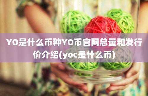 YO是什么币种YO币官网总量和发行价介绍(yoc是什么币)