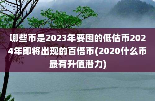 哪些币是2023年要囤的低估币2024年即将出现的百倍币(2020什么币最有升值潜力)